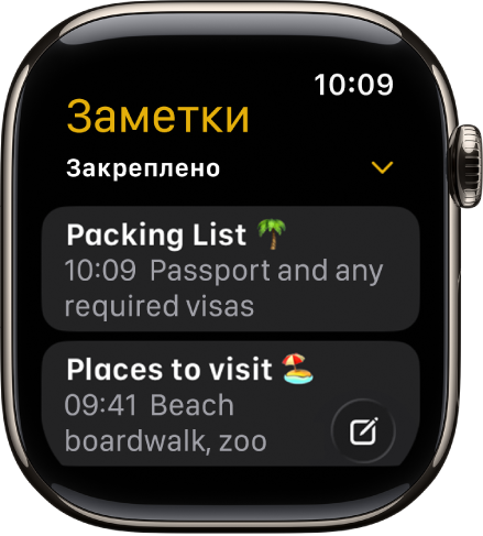 На экране «Заметки» показаны две закрепленные заметки.