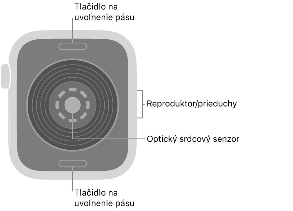 Zadná strana hodiniek Apple Watch SE 3. Navrchu a naspodku sa nachádzajú tlačidlá na uvoľnenie pásu. V strede je umiestnený optický srdcový senzor a naboku reproduktor/prieduchy.