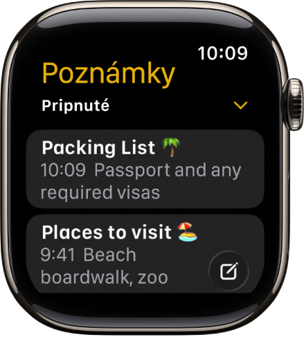 Obrazovka Poznámky zobrazujúca dve pripnuté poznámky.