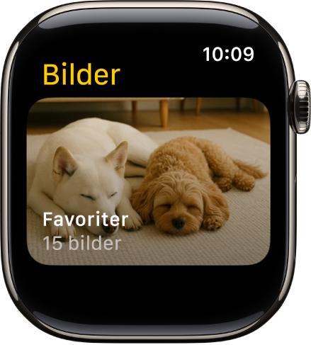 Appen Bilder på Apple Watch visar ett album med namnet Favoriter.