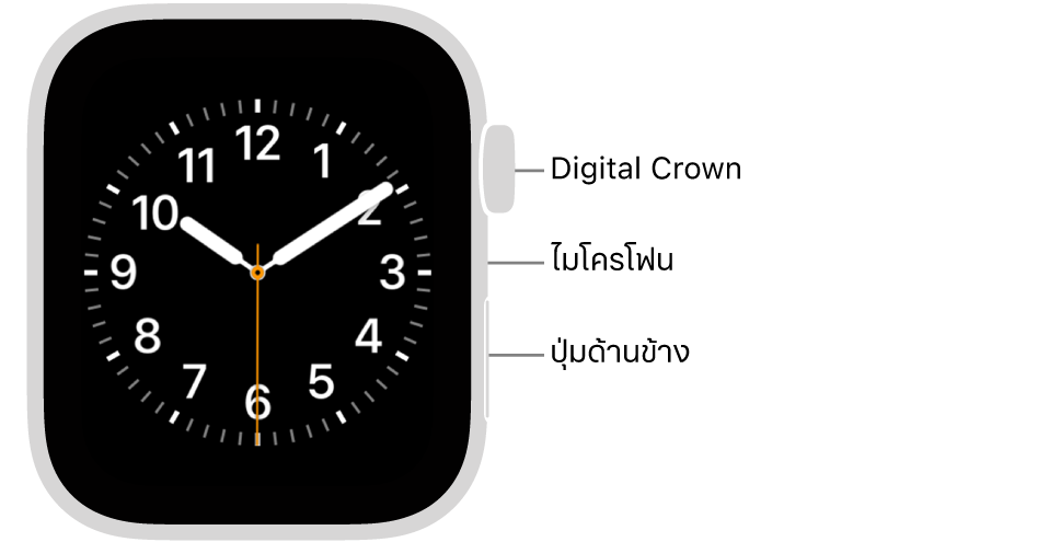 ด้านหน้าของ Apple Watch Series 6 ที่มีหน้าจอที่แสดงหน้าปัดนาฬิกา และมี Digital Crown, ไมโครโฟน และปุ่มด้านข้างอยู่ที่ด้านข้างของนาฬิกาจากด้านบนสุดถึงด้านล่างสุด
