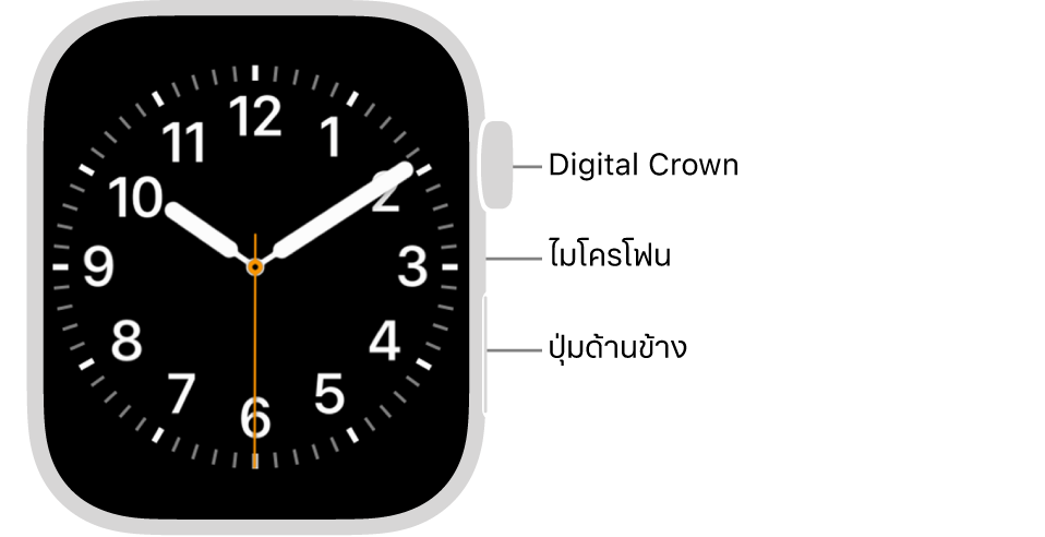 ด้านหน้าของ Apple Watch Series 9 ที่มีหน้าจอที่แสดงหน้าปัดนาฬิกา และมี Digital Crown, ไมโครโฟน และปุ่มด้านข้างอยู่ที่ด้านข้างของนาฬิกาจากด้านบนสุดถึงด้านล่างสุด