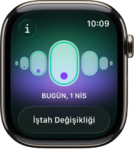 Döngü İzleme ekranı.