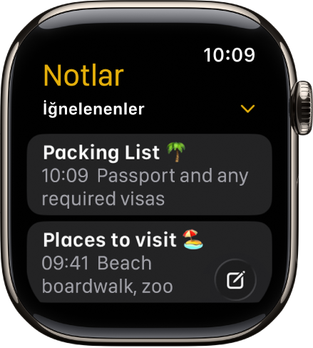İki iğnelenen notu gösteren Notlar ekranı.