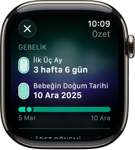 Döngü İzleme uygulamasındaki bir ekranda, bir gebelik özeti gösteriliyor. Ekranın ortasında gebelik haftası ve bebeğin doğum tarihi var.