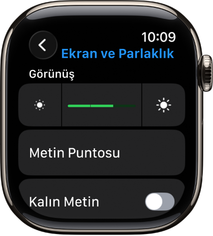 En üstte Parlaklık sürgüsü ve onun altında Metin Puntosu düğmesi olmak üzere Apple Watch’taki Ekran ve Parlaklık ayarları.