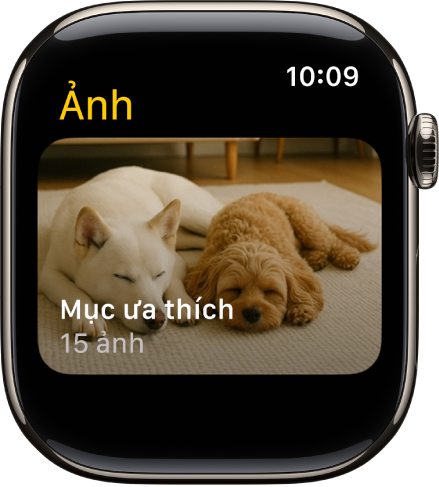 Ứng dụng Ảnh trên Apple Watch đang hiển thị một album có tên là Mục ưa thích.