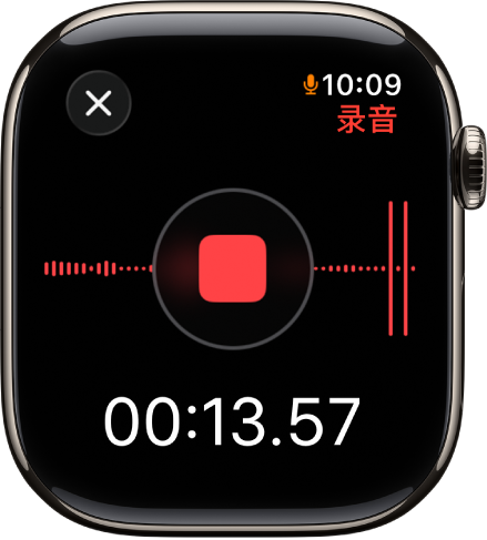 “语音备忘录” App 正在录制备忘事项。红色的“停止”按钮位于中间。下方是录音的累计时间。“录音”字样显示在右上方。