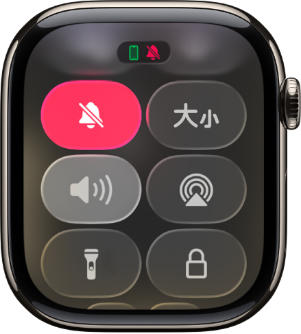 显示静音模式按钮已选中的控制中心。