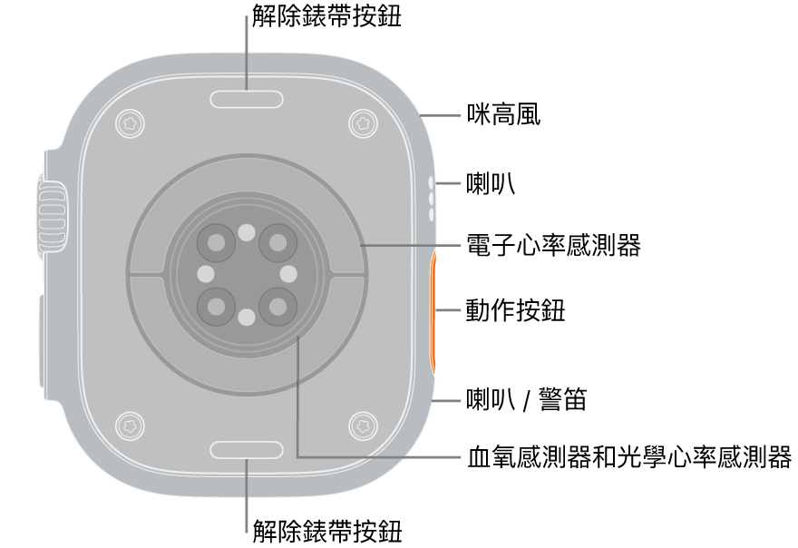 Apple Watch Ultra 3 的背面，在頂部和底部的解除錶帶按鈕。側邊為咪高風、喇叭、電子心率感測器、動作按鈕、發出警笛聲音的喇叭埠、血氧感測器，以及光學心率感測器。