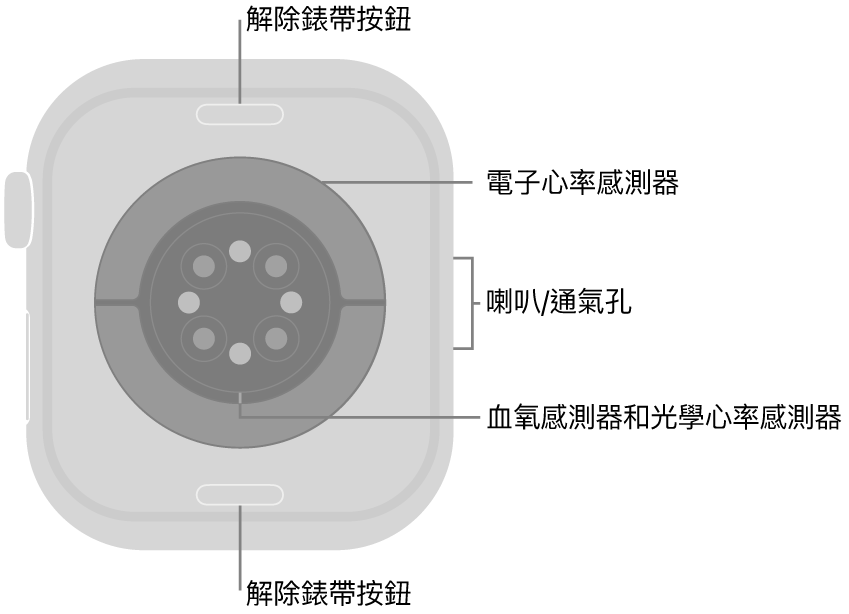 Apple Watch Series 10 的背面，在頂部和底部的解除錶帶按鈕，中間的電子心率感測器、光學心率感測器和血氧感測器，以及側邊的喇叭/通氣孔。