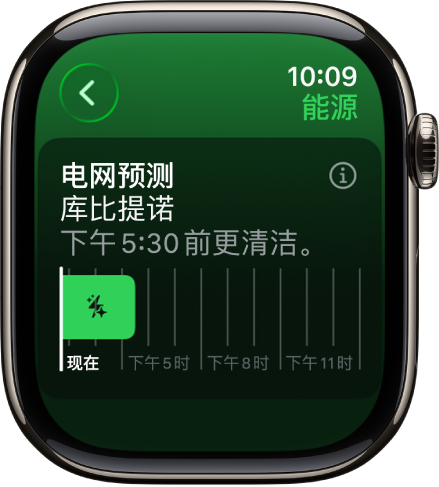 “电网预测”屏幕显示更清洁能源在下午 5:30 前可用。