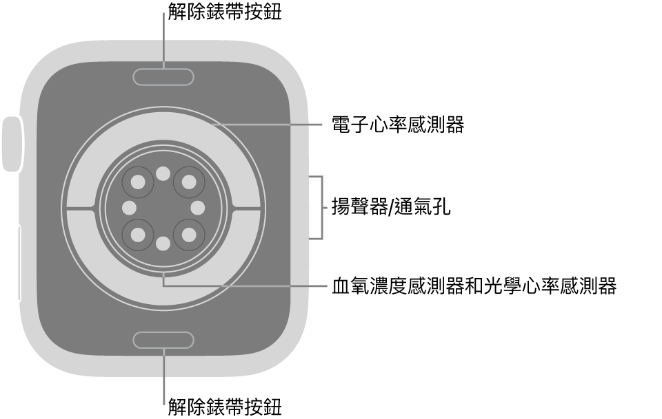 Apple Watch Series 11 的背面,頂端和底部為解除錶帶按鈕,中央為電子心率感測器、光學心率感測器,以及血氧濃度感測器,而側邊為揚聲器/通氣孔。