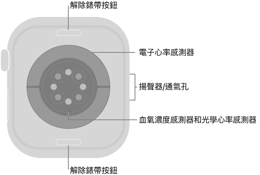 Apple Watch Series 10 的背面,頂端和底部為解除錶帶按鈕,中央為電子心率感測器、光學心率感測器,以及血氧濃度感測器,而側邊為揚聲器/通氣孔。
