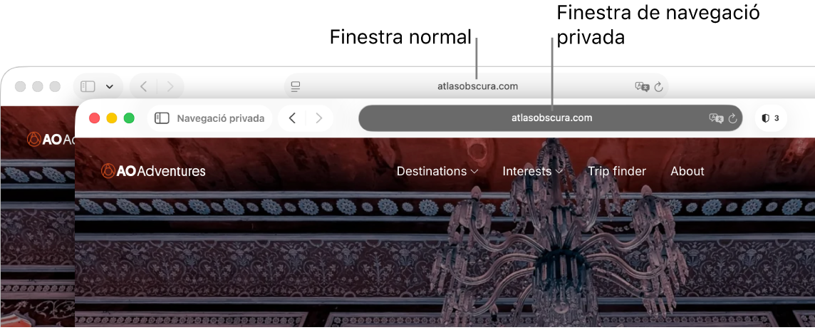 En un Mac, una finestra normal del Safari amb el camp de cerca intel·ligent il·luminat, i una finestra privada del Safari amb el camp de cerca intel·ligent fosc.