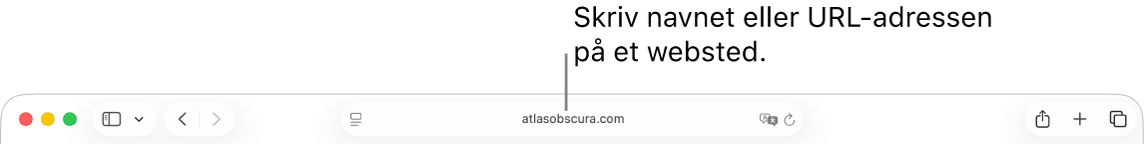 Det smarte søgefelt, der er placeret midt på værktøjslinjen i Safari.