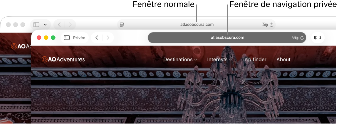 Une fenêtre Safari normale sur un Mac avec son champ de recherche intelligente de couleur pâle et une fenêtre Safari privée avec son champ de recherche intelligente de couleur foncée.