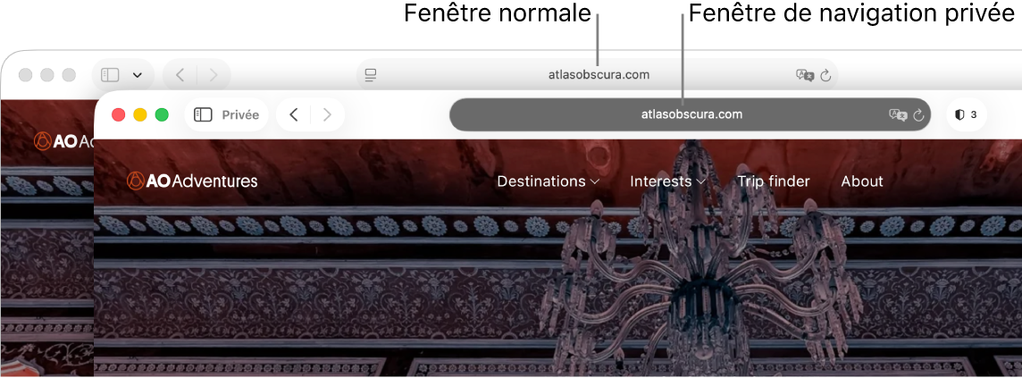 Fenêtre Safari normale sur un Mac avec son champ de recherche intelligente clair et une fenêtre Safari privée avec son champ de recherche intelligente sombre.