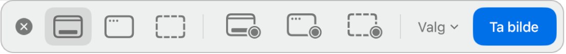 Verktøyene i Skjermbilde-appen.