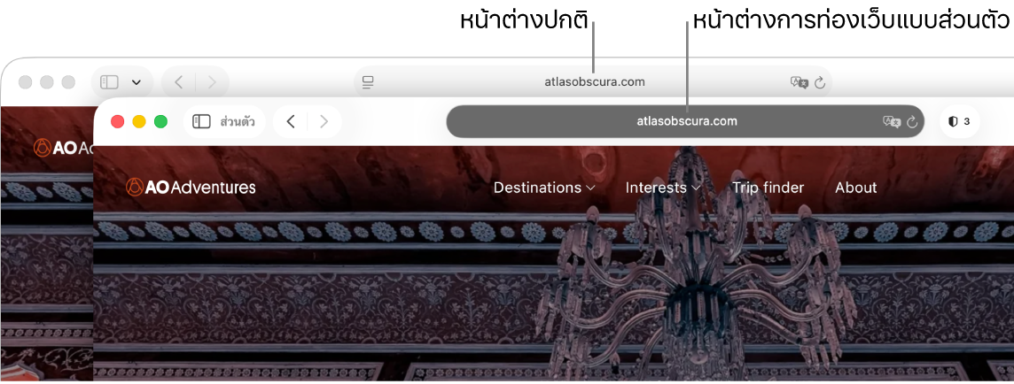 หน้าต่าง Safari แบบปกติบน Mac ที่มีช่องค้นหาอัจฉริยะแบบสว่างและหน้าต่าง Safari แบบส่วนตัวที่มีช่องค้นหาอัจฉริยะแบบมืด