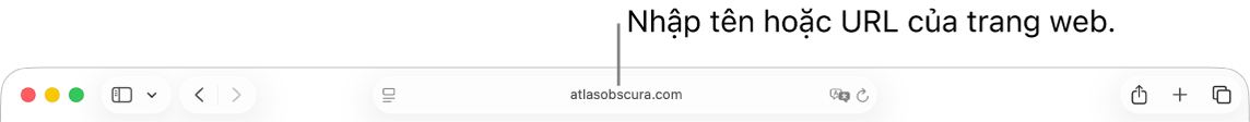 Trường Tìm kiếm thông minh, nằm ở giữa thanh công cụ Safari.