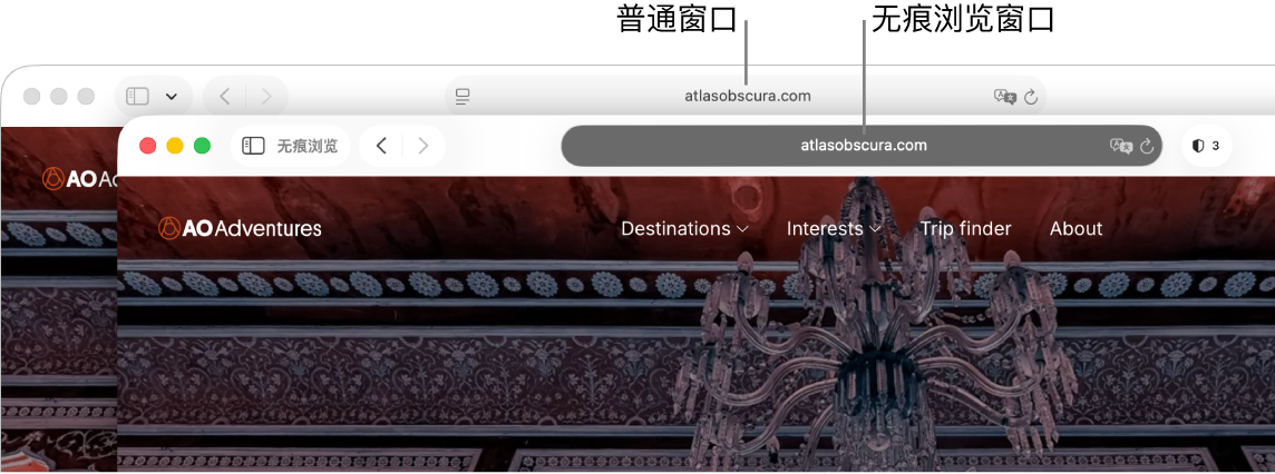 Mac 上的 Safari 浏览器常规窗口，其智能搜索栏为浅色；以及 Safari 浏览器无痕浏览窗口，其智能搜索栏为深色。