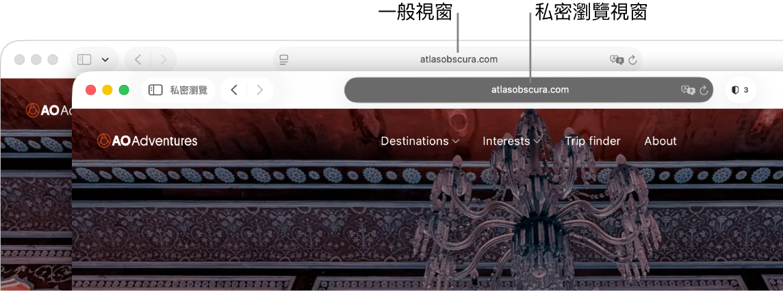 Mac 上顯示其淺色「智慧型搜尋」欄位的一般 Safari 視窗，以及顯示其深色「智慧型搜尋」欄位的私密 Safari 視窗。