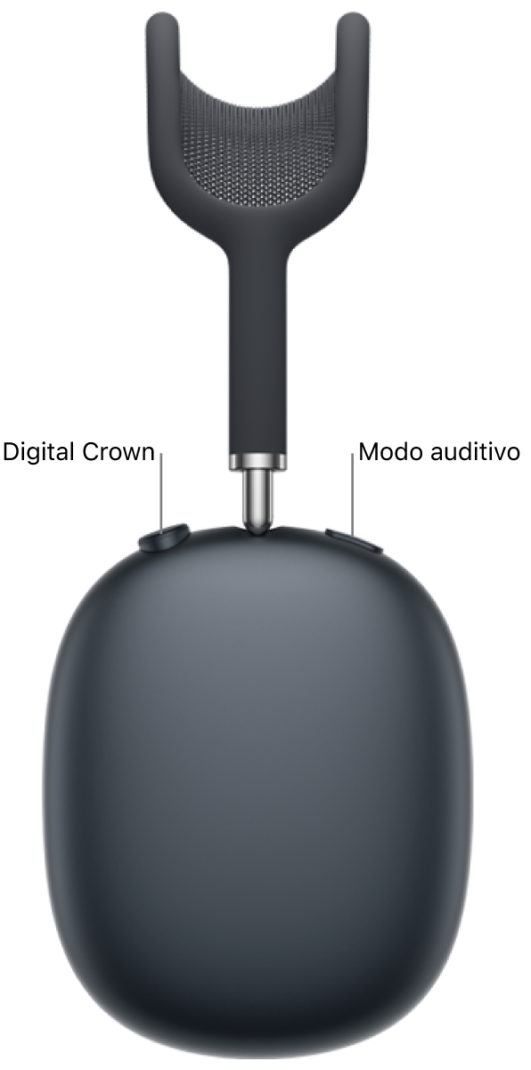 El audífono derecho de los AirPods Max 2, que muestra la Digital Crown en la parte superior izquierda y el botón de modo auditivo en la parte superior derecha.