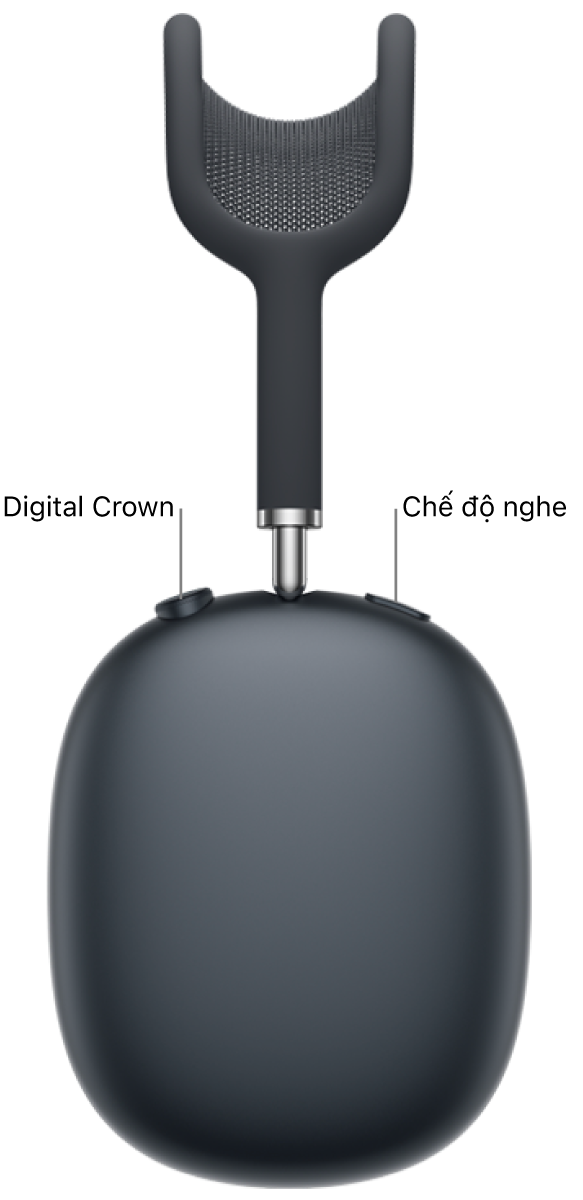 Tai nghe bên phải trên AirPods Max 2, đang hiển thị Digital Crown ở trên cùng bên trái của tai nghe và nút chế độ nghe ở trên cùng bên phải.