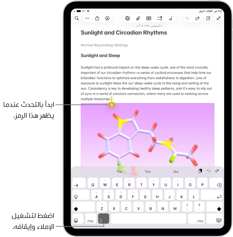 لوحة المفاتيح على الشاشة مفتوحة في تطبيق الملاحظات. زر الإملاء في الجزء السفلي من لوحة المفاتيح محدد ويظهر زر الإملاء أسفل نقطة الإدراج في حقل النص.
