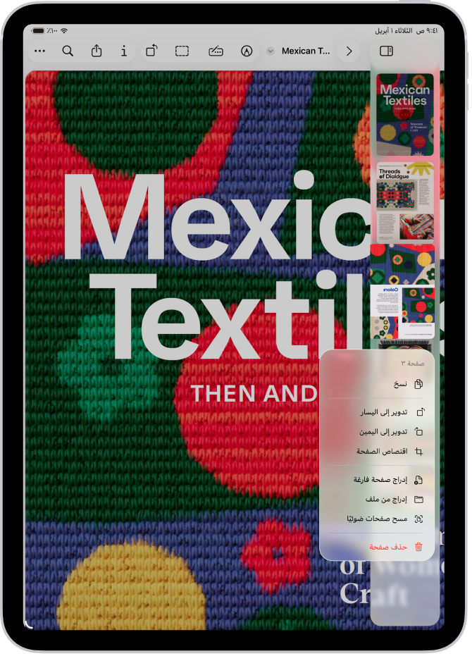 عرض مصغر لملف PDF مع خيارات الصفحة مرئية.