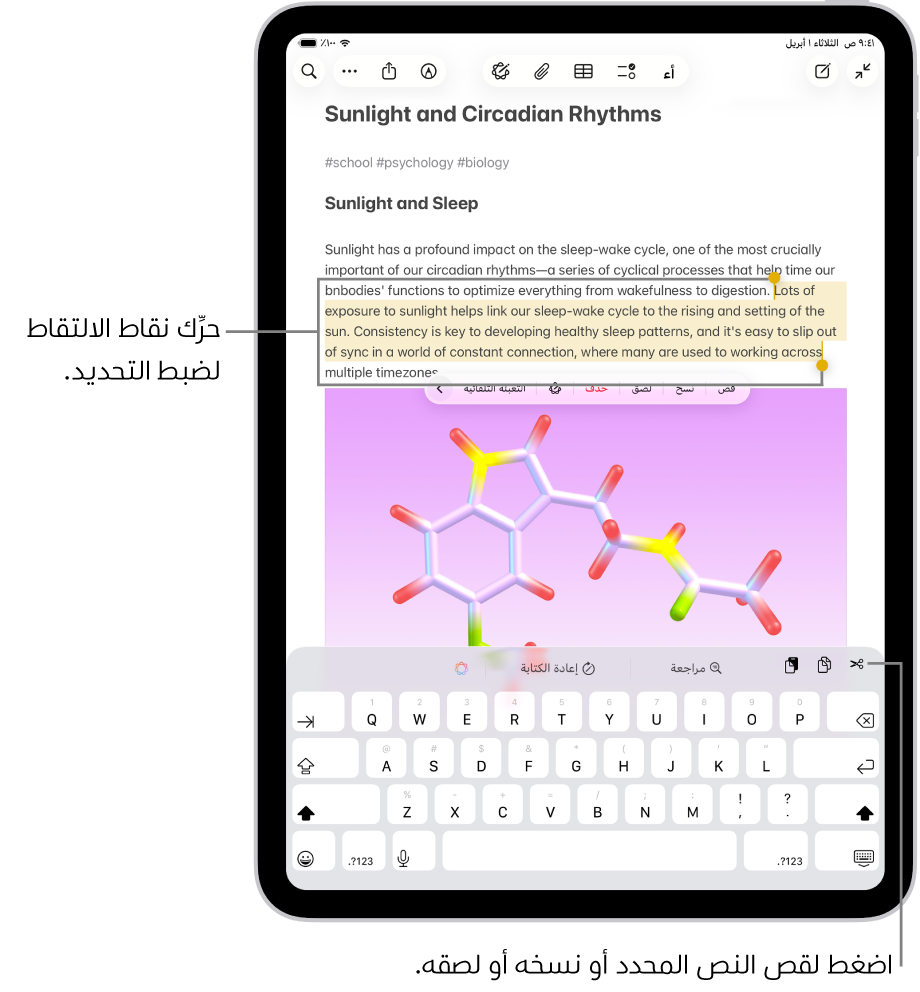 نص محدد في ملاحظة في تطبيق الملاحظات. تظهر فوق النص المحدد قائمة أزرار من ضمنها قص ونسخ ولصق. النص المحدد مميز، مع نقاط الالتقاط لضبط التحديد على كلا الطرفين.