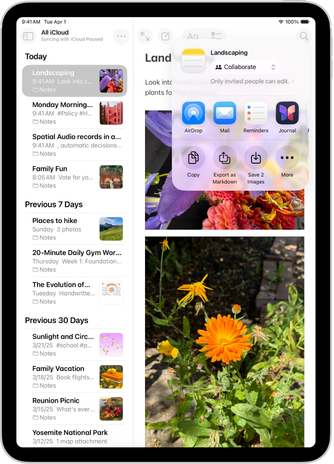 The screen for sharing a photo, with the sharing options immediately below the open photo, including the More button for editing sharing options.