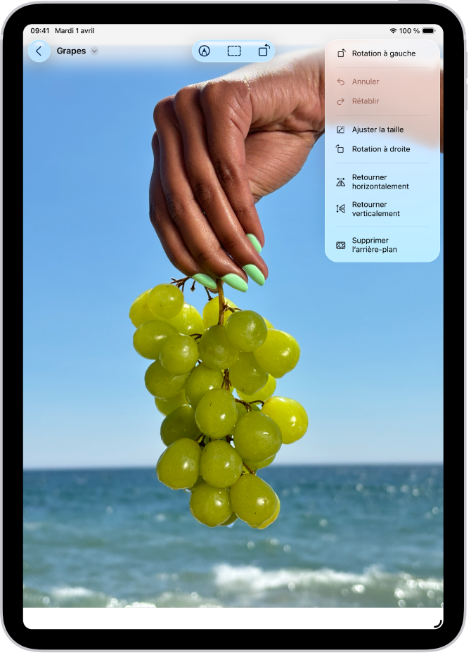 L’app Aperçu avec une photo. Une main tenant une grappe de raisons est affichée au premier plan. Le ciel et l’océan sont visibles en arrière-plan.