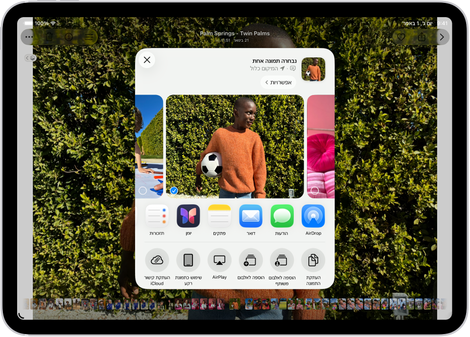 תמונה פתוחה ביישום ״תמונות״ עם אפשרויות השיתוף מוצגות במרכז המסך.