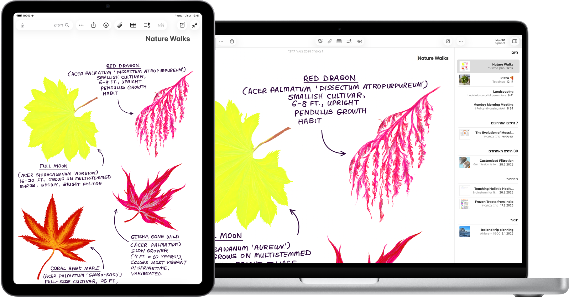 מכשיר iPad שמציג רישום, לצד מחשב Mac שבו הרישום מופיע בפתק.