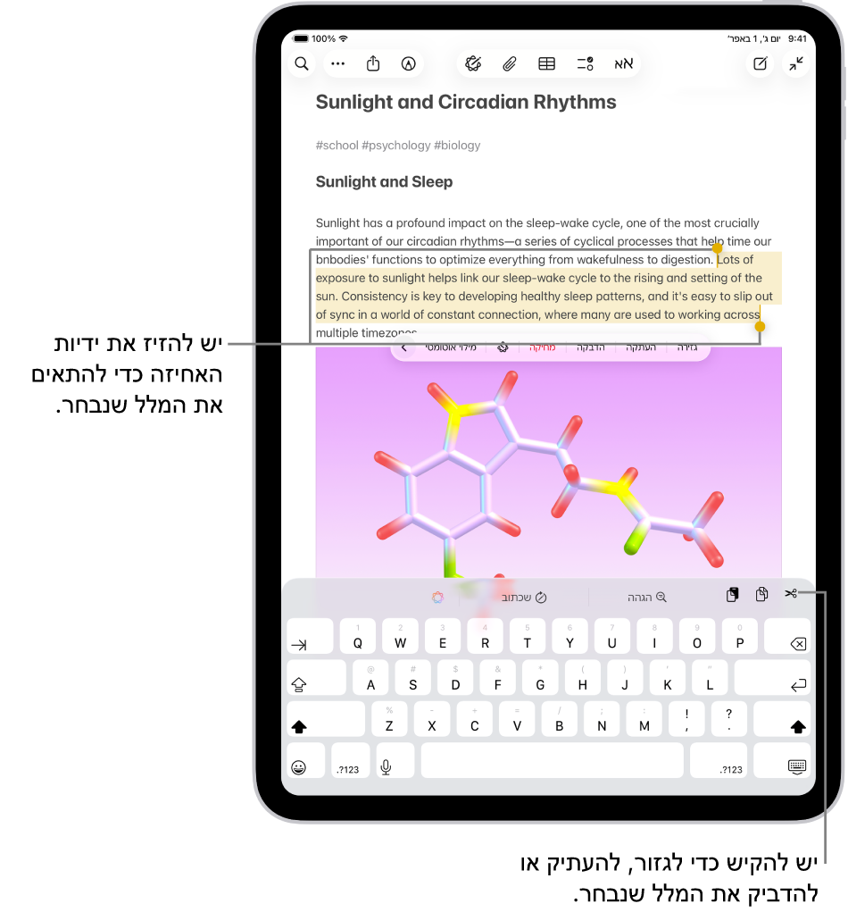 מלל נבחר בתוך פתק ביישום ״פתקים״. מעל המלל שנבחר מופיע תפריט של כפתורים שכוללים, ״גזירה״, ״העתקה״ ו״הדבקה״. המלל הנבחר מסומן ובתחילתו ובסופו מופיעות נקודות אחחיזה לשינוי הבחירה.