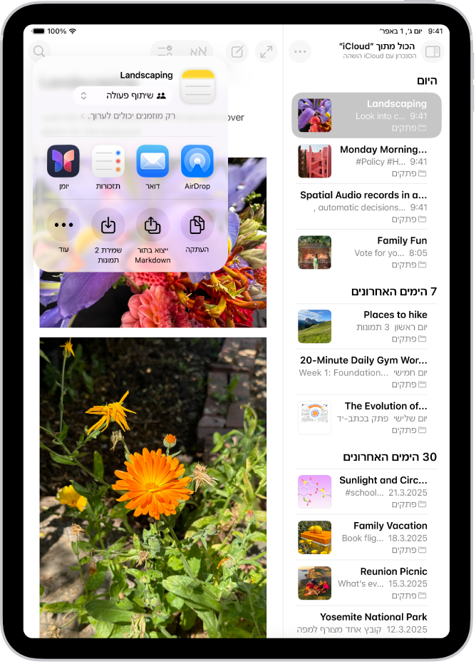 המסך לשיתוף תמונה, שבו אפשרויות שיתוף מופיעות ממש מתחת לתמונה הפתוחה, כולל הכפתור ״עוד״ לעריכת אפשרויות השיתוף.