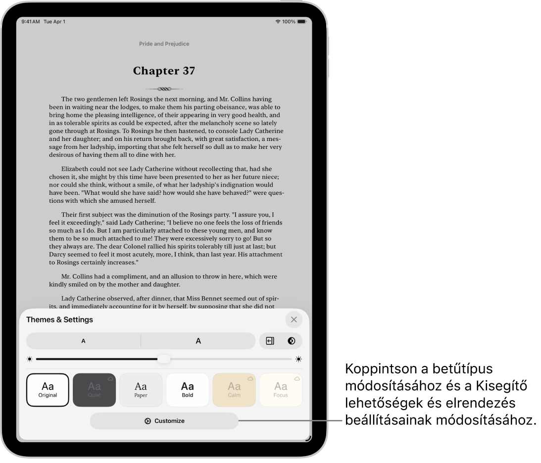 Egy könyv oldala a Könyvek appban. A Témák & beállítások lehetőségei különféle vezérlőkkel, amelyek a betűmérethez, a görgetési nézethez, az oldallapozás stílusához, a fényerőhöz és a betűtípusstílusokhoz használhatók.