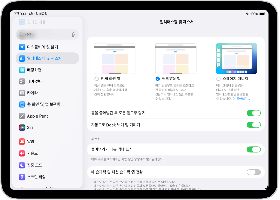 멀티태스킹 및 제스처 설정이 표시된 iPad 윈도우.