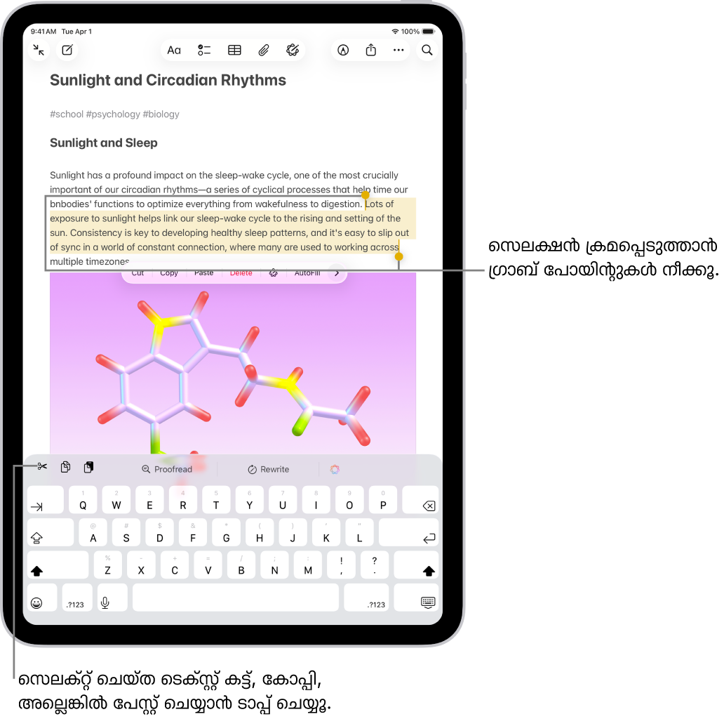 ‘കുറിപ്പുകൾ’ ആപ്പിലെ കുറിപ്പിലാണ് ടെക്സ്റ്റ് സെലക്റ്റ് ചെയ്തിരിക്കുന്നത്. സെലക്റ്റ് ചെയ്ത ടെക്സ്റ്റിന് മുകളിൽ കട്ട് ചെയ്യൂ, കോപ്പി ചെയ്യൂ, പേസ്റ്റ് ചെയ്യൂ എന്നിവയുൾപ്പെടെയുള്ള ബട്ടണുകളുടെ ഒരു മെനു. സെലക്റ്റ് ചെയ്ത ടെക്സ്റ്റ് ഹൈലൈറ്റ് ചെയ്തിരിക്കുന്നു, ഒപ്പം ഇരുവശത്തും സെലക്‌ഷൻ ക്രമപ്പെടുത്താൻ ഗ്രബ് പോയിന്റുകളും.