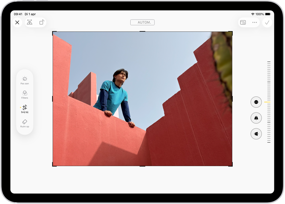 Het bewerkingsscherm in de Foto's-app, met in het midden een foto. Aan de linkerkant van het scherm staan de knoppen 'Pas aan', 'Filters' en 'Snij bij'. De knop 'Snij bij' is geselecteerd. Aan de rechterkant van het scherm staan de bijsnijdopties en een schuifknop om de intensiteit van het effect aan te passen.