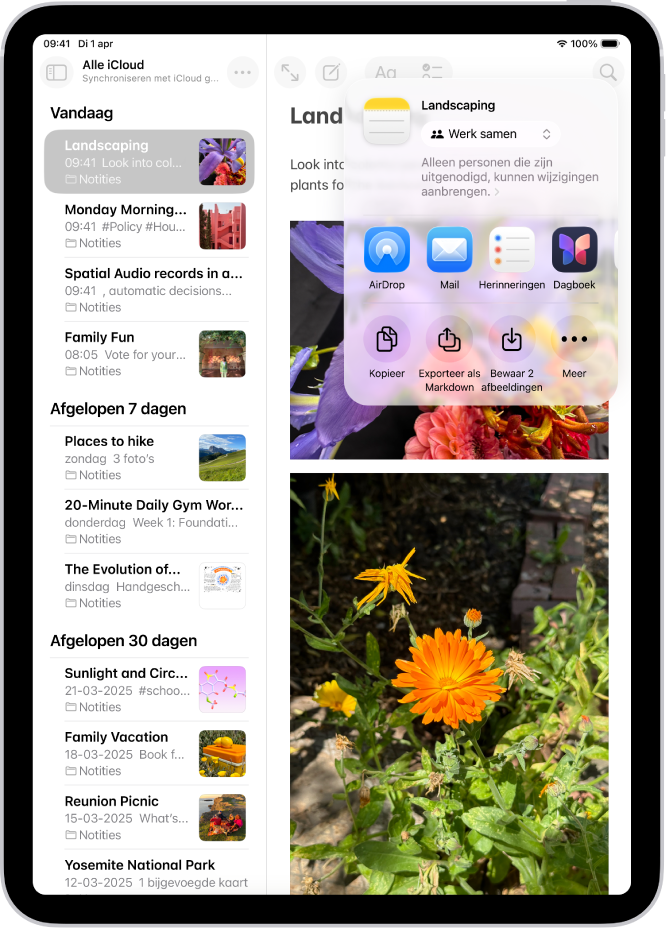 Het scherm waar je een foto kunt delen, met meteen onder de foto de deelopties, inclusief de knop 'Meer' voor het wijzigen van de deelopties.