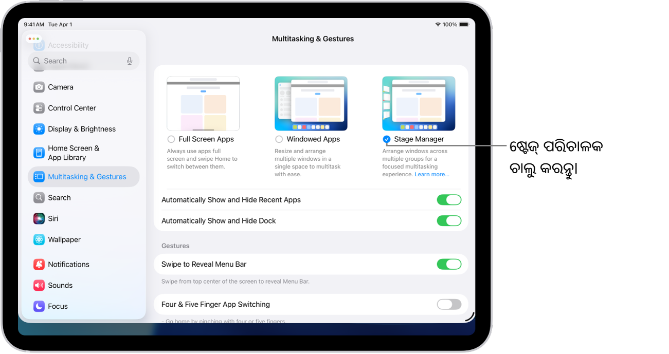 iPad ସେଟିଂସ୍ ଆପ୍, ଯେଉଁଥିରେ ଆପଣ ଏକାଧିକ ଆପ୍ରେ କାର୍ଯ୍ୟ କରିବା ପାଇଁ ବାଛିପାରିବେ ଯାହା ମଲ୍ଟିଟାସ୍କିଂ ଓ ଜେଶ୍ଚର୍ ବିକଳ୍ପ ଦେଖାଉଛି।