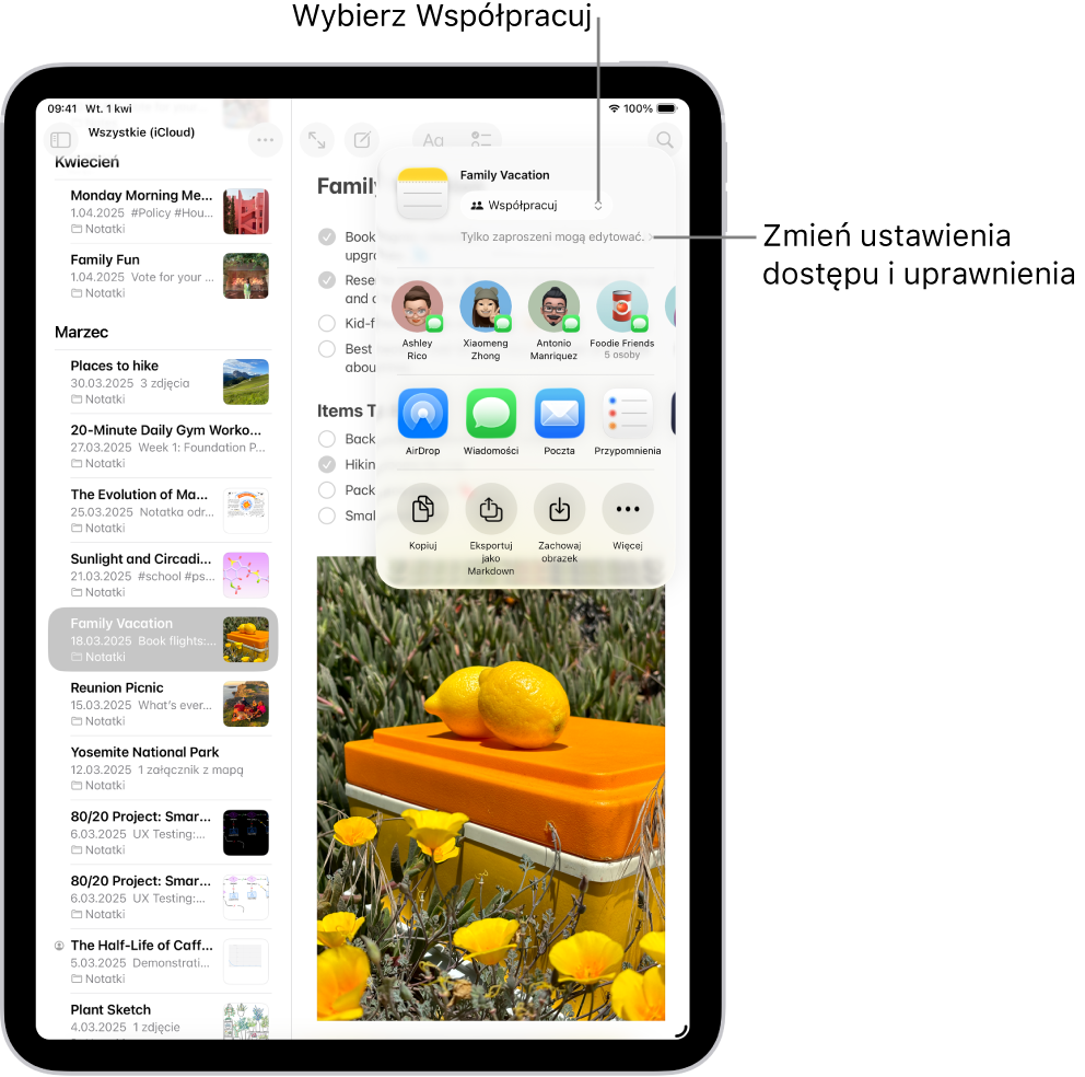 Lista kontrolna w aplikacji Notatki z zaproszeniem do współpracy. Widoczna jest opcja Współpraca oraz etykieta „Tylko zaproszeni przez Ciebie mogą edytować” jako ustawienie dostępu i uprawnień. Poniżej widocznych jest czworo sugerowanych odbiorców, w tym jedna grupa. Dalej widoczne są różne metody udostępnienia notatki: AirDrop, Wiadomości, Poczta oraz Przypomnienia. Ostatni rząd zawiera przyciski umożliwiające skopiowanie, wyeksportowanie oraz zachowanie notatki.