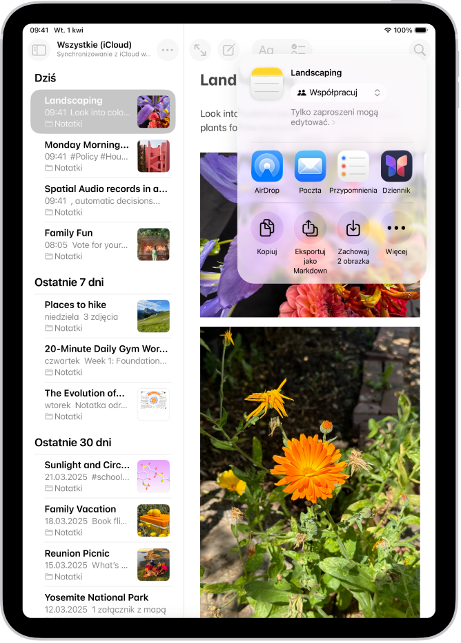 Ekran udostępniania zdjęcia. Poniżej zdjęcia widoczne są opcje udostępniania oraz przycisk Więcej umożliwiający edycję tych opcji.
