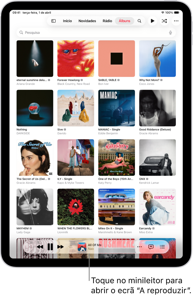 O separador Álbuns, com o minileitor junto à parte inferior. O minileitor mostra o título da música que está a ser reproduzida.