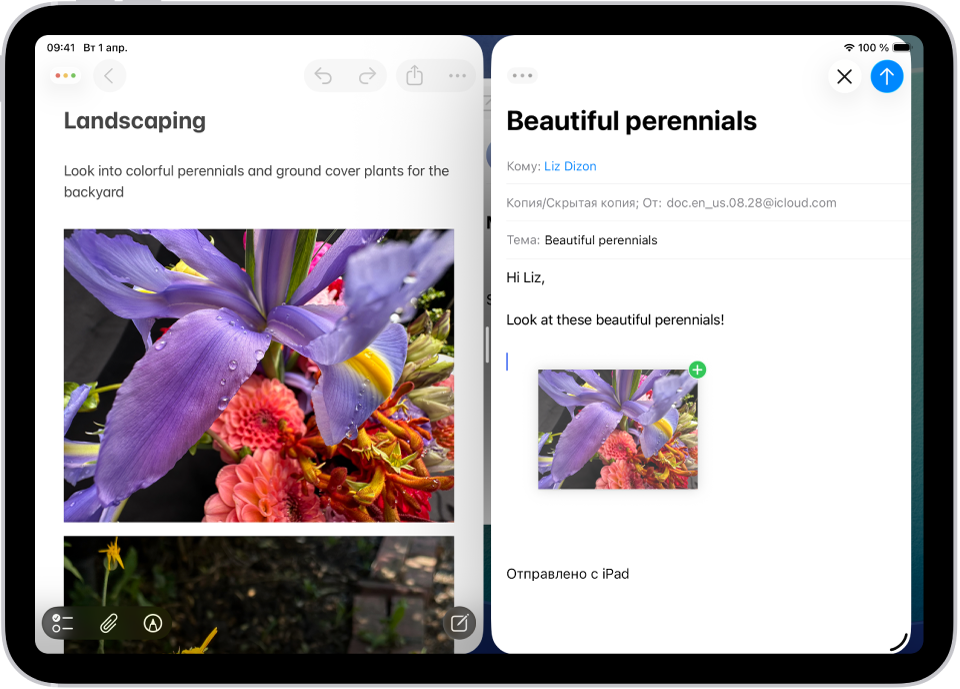 Одновременная работа в нескольких приложениях, открытых в соседних окнах. В левой части открыто приложение «Заметки», в правой — электронное письмо. Показан процесс перетягивания фотографии из приложения «Заметки» в электронное письмо.