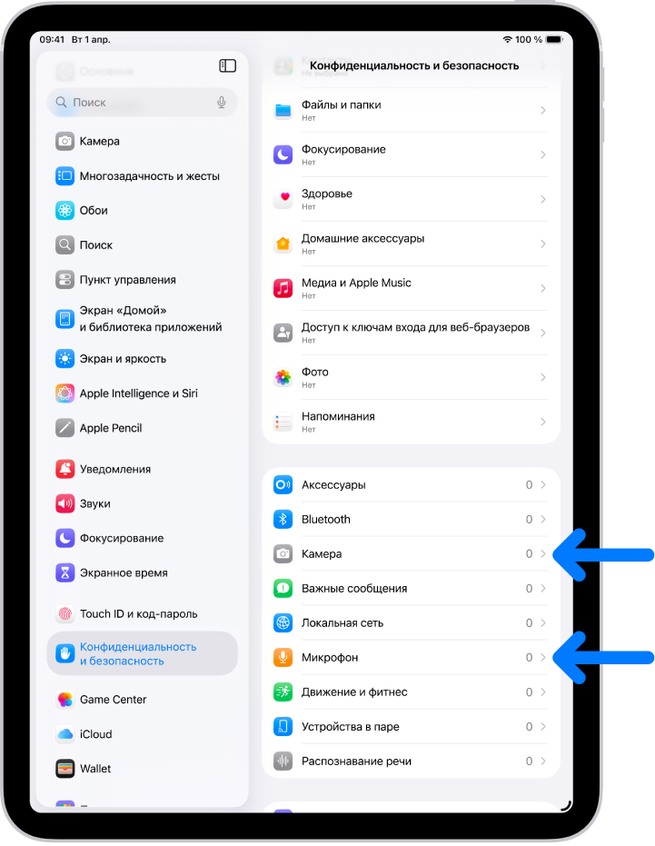 На экране «Конфиденциальность и безопасность» показаны настройки предоставления приложениям доступа к камере, микрофону и другим компонентам iPad.
