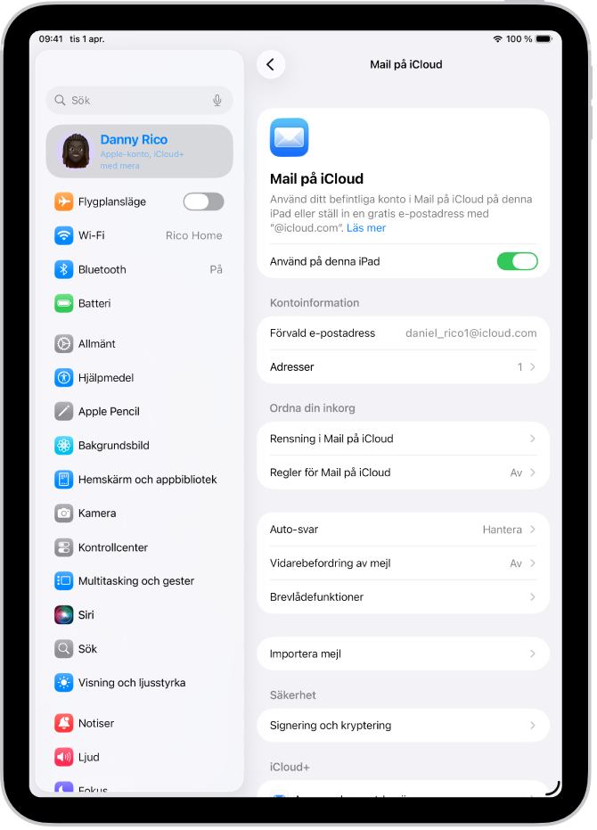 Appen Inställningar är öppen på skärmen Mail på iCloud. Anpassad e-postdomän finns längst ned på skärmen.